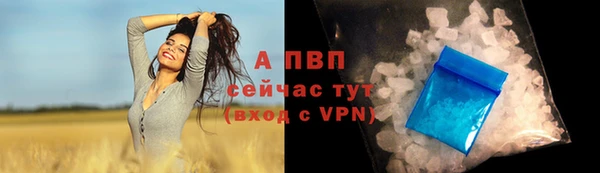 СК Алексеевка